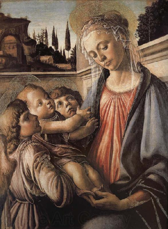 Sandro Botticelli Our Lady of Angels with the two sub Spain oil painting art